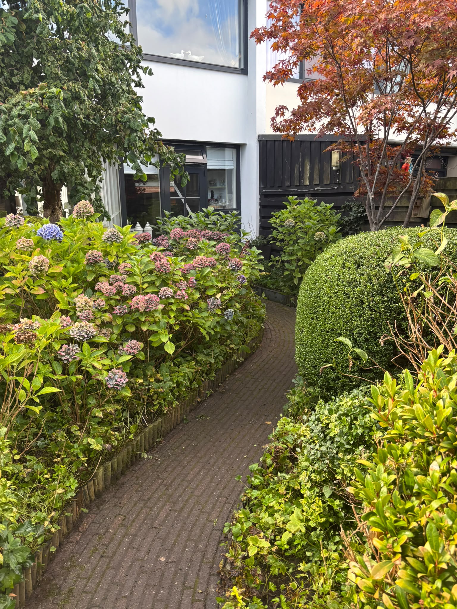 Verzorgde tuin