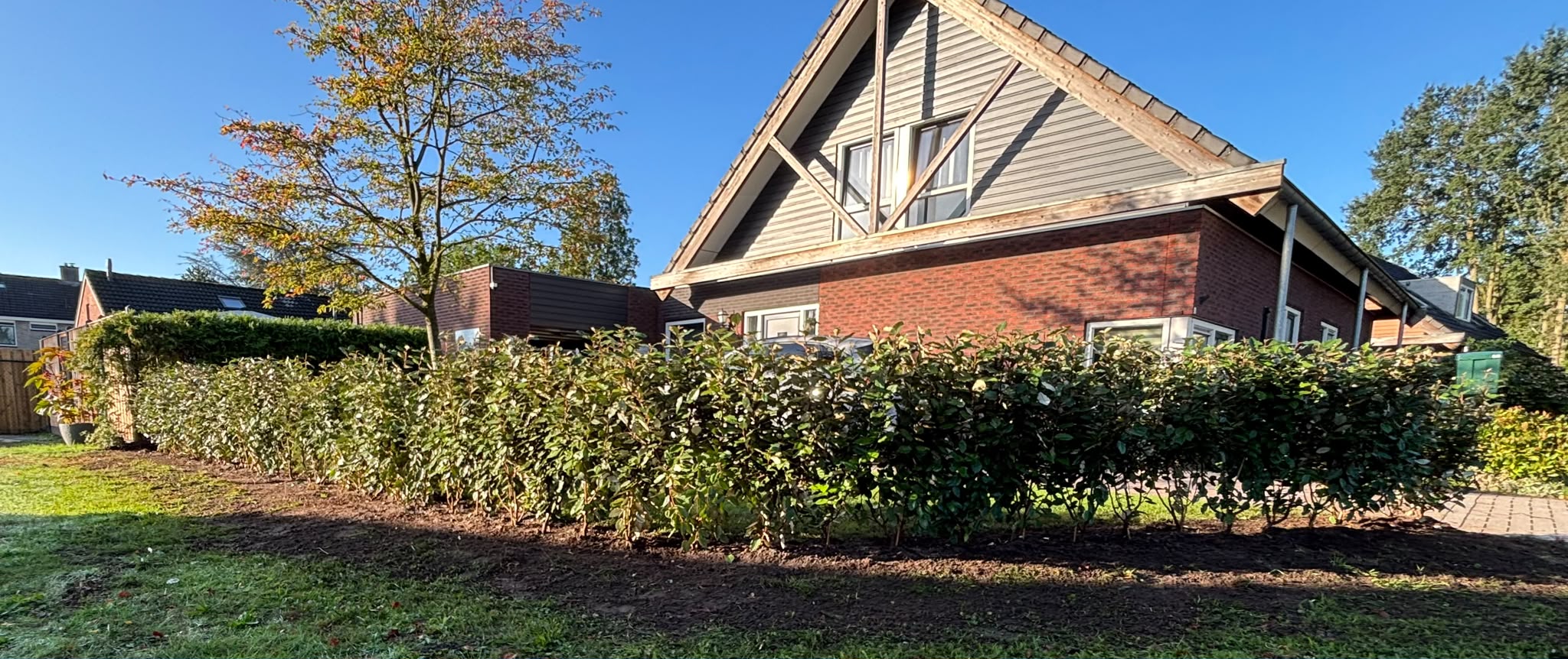 Aangelegde groene tuin