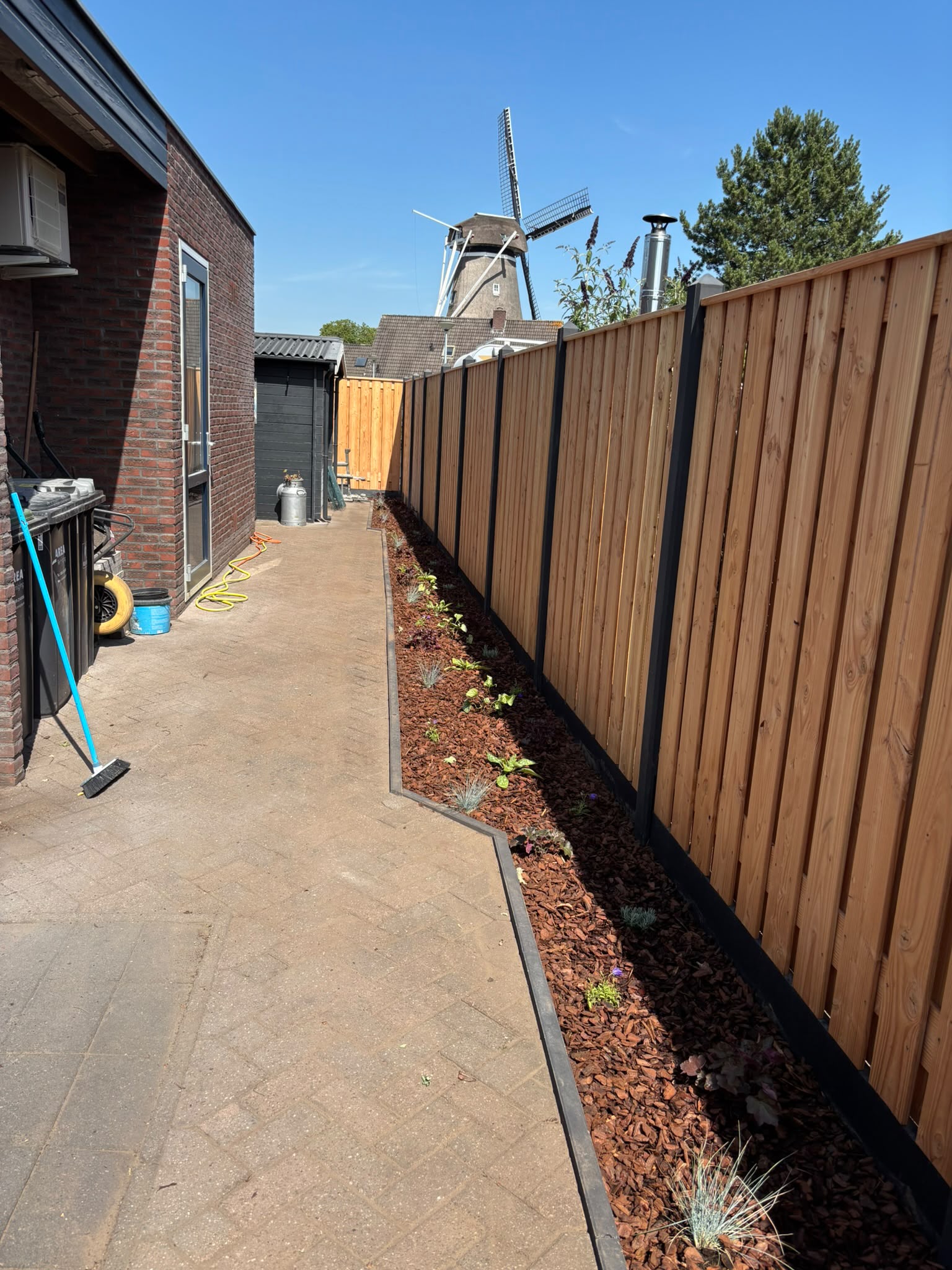 Groene structuur in de tuin