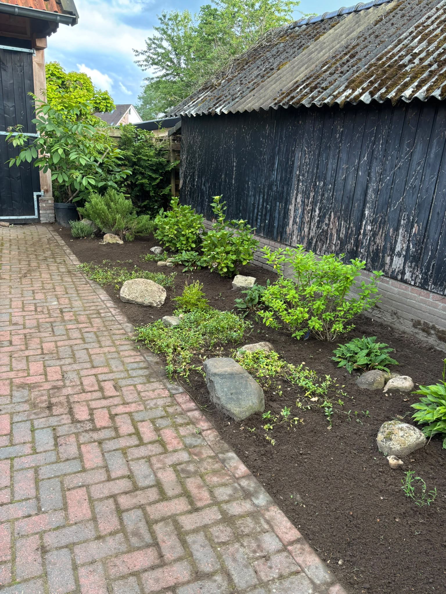 Verzorgde tuin